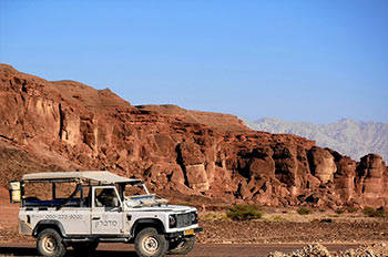 לטייל בערבה ובשמורת הרי אילת ובאילת עם מדברון