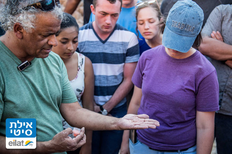 רון הררי בהדרכה