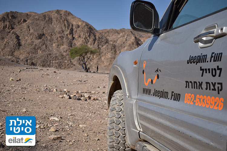 לגלות את המדבר בטיולי ג'יפים
