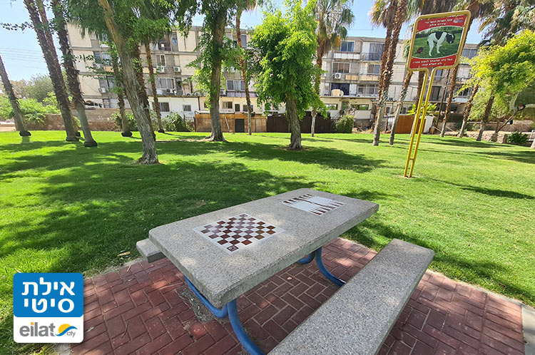 שולחן שחמט, מדשאה, משחקים לילדים ועוד