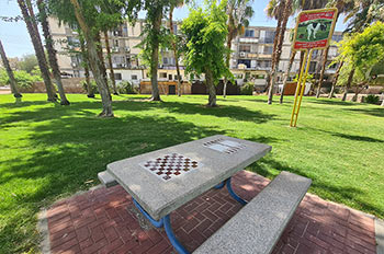 שולחן שחמט, מדשאה, משחקים לילדים ועוד