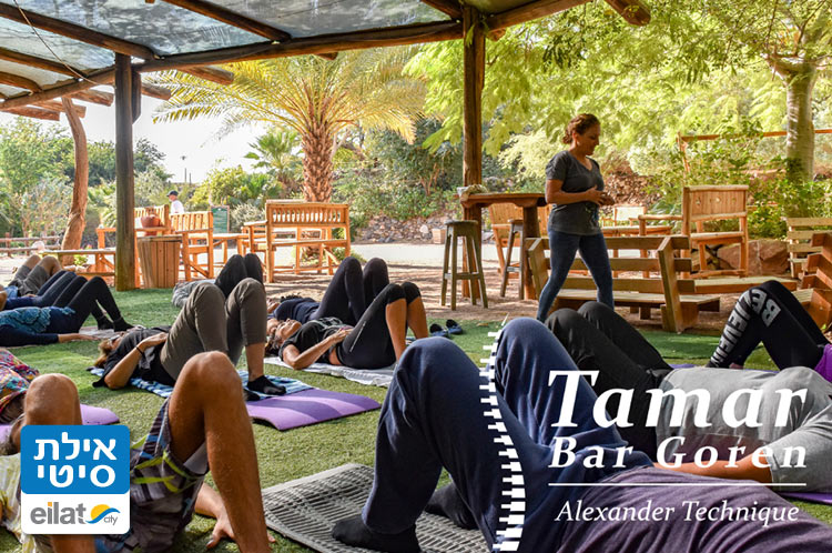 הדרכה מקצועית תוך דגשים אישיים באמצעות שיטת אלכסנדר לשימוש מודע בגוף