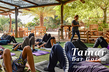 הדרכה מקצועית תוך דגשים אישיים באמצעות שיטת אלכסנדר לשימוש מודע בגוף