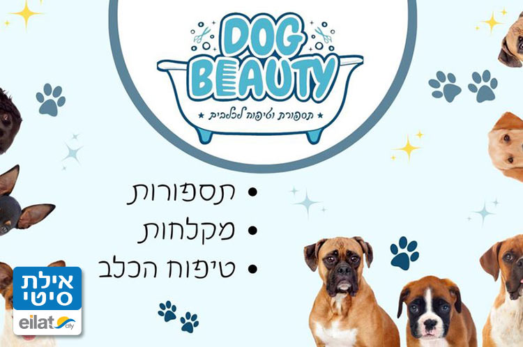 דוג ביוטי אילת