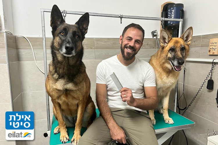 טיפולים מותאמים לכל סוגי הכלבים