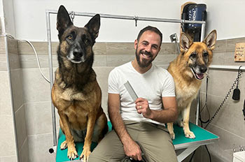 טיפולים מותאמים לכל סוגי הכלבים