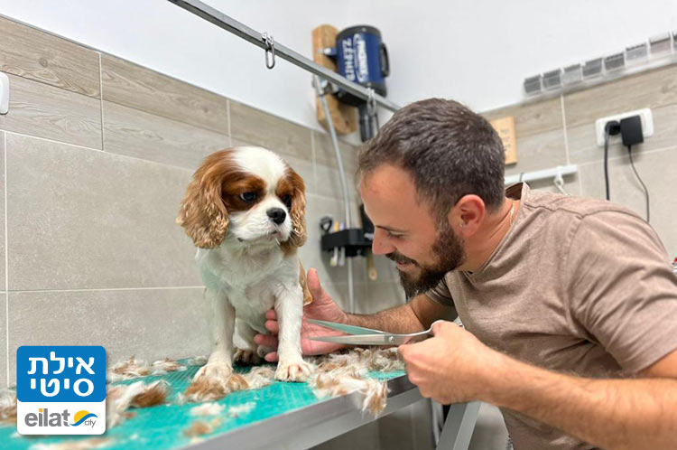 טיפול אישי ומסור - דוג ביוטי