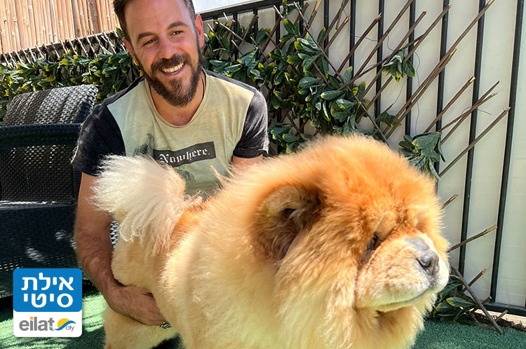 טיפול בכלבים, טיפוח, תספורות - דוג ביוטי