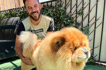 טיפול בכלבים, טיפוח, תספורות - דוג ביוטי