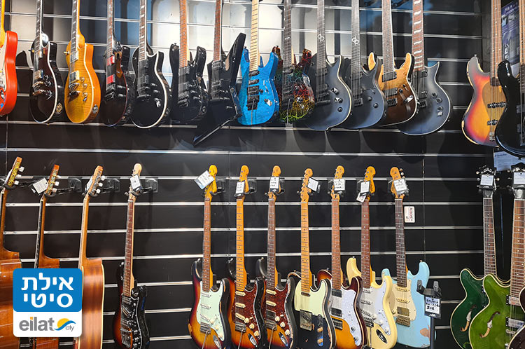 כלי נגינה, ציוד אולפן והגברה, אביזרים ועוד