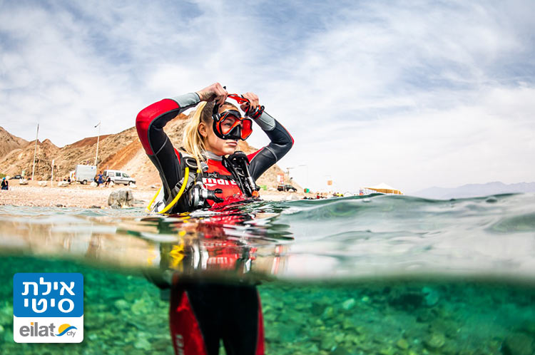 צלילות עם מדריכים מהשורה הראשונה