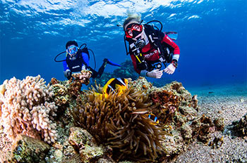 מרכז צלילה מנטה לגלות את מפרץ אילת