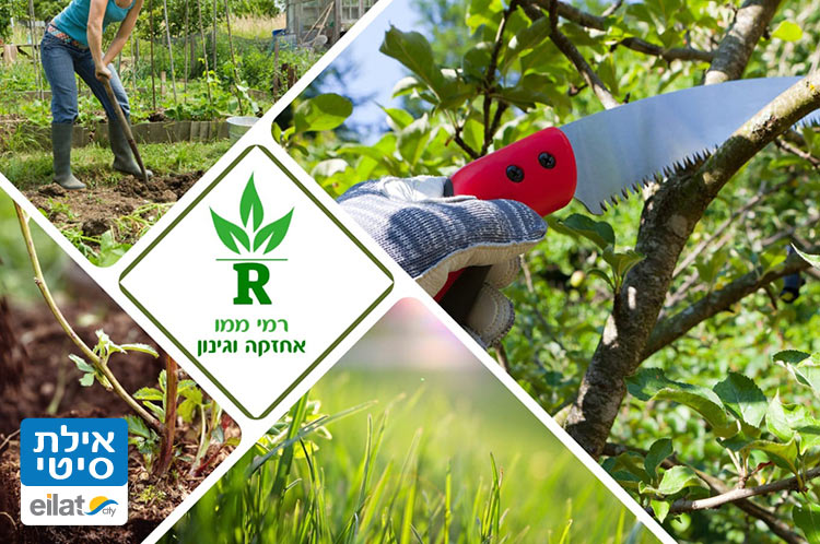 רמי ממו אילת