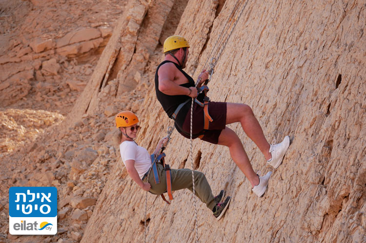פעילות קבוצתית עם חולית במדבר