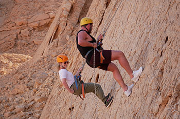 פעילות קבוצתית עם חולית במדבר