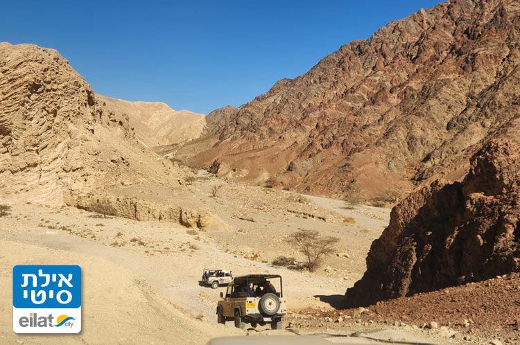 חווית שטח מלאה באדרנלין