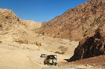 חווית שטח מלאה באדרנלין