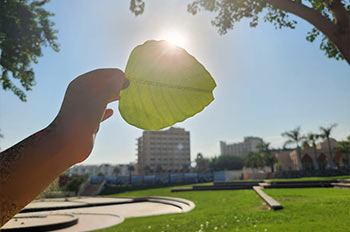 להתבונן דרך המצלמה