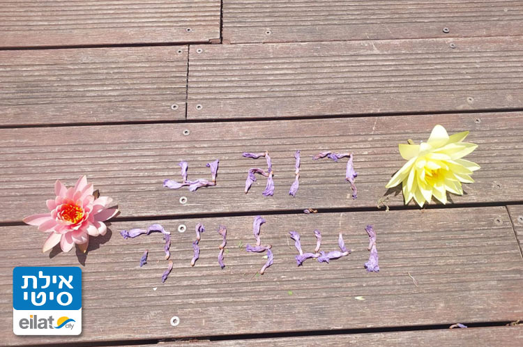 סדנאות צילום עם מעיין נטעלי