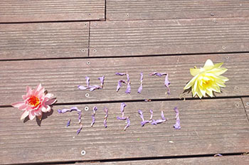 סדנאות צילום עם מעיין נטעלי