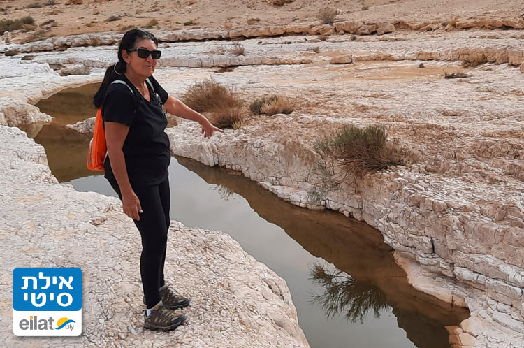 טיולים, סיורים, טבע, תרבות, ועוד עם רויטל לוי שטיין