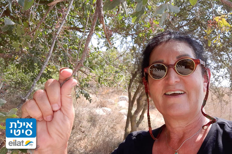 לחוות את המקום עם רויטל לוי שטיין