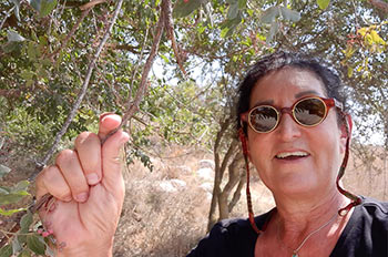 לחוות את המקום עם רויטל לוי שטיין