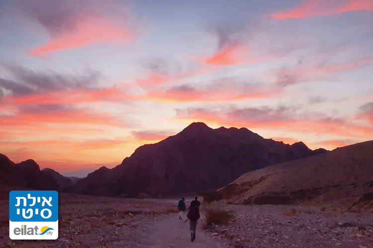 טיולים מודרכים לכל דרגות הקושי
