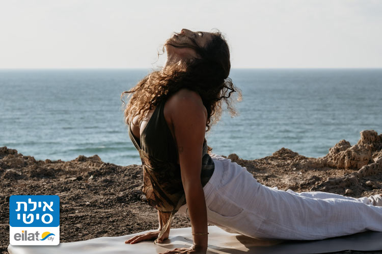 טרה סטודיו אילת