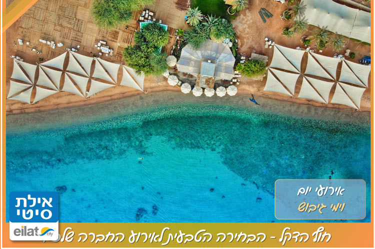 אירועי יום בחוף הדקל