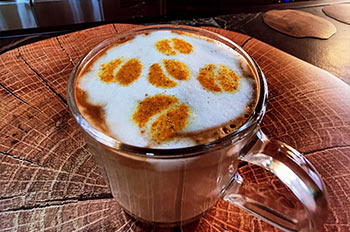 קפה משובח - סוקרפיון קפה ובר