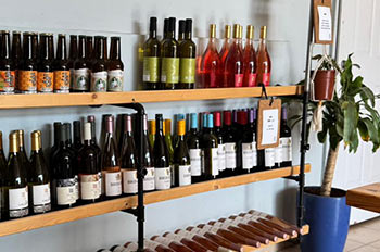 בוטיק וחנות עם תוצרת מקומית מדברית