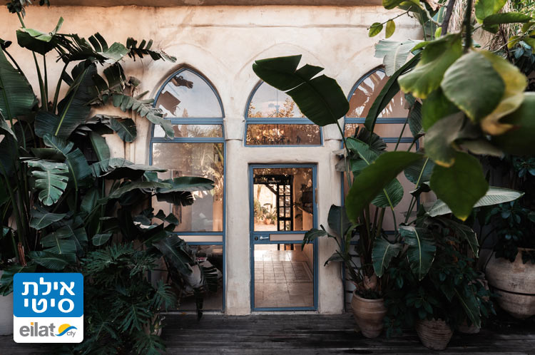 אליסיה לבובסקי צילום אילת