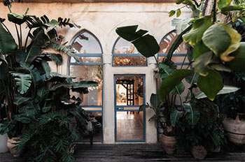 אליסיה לבובסקי צילום