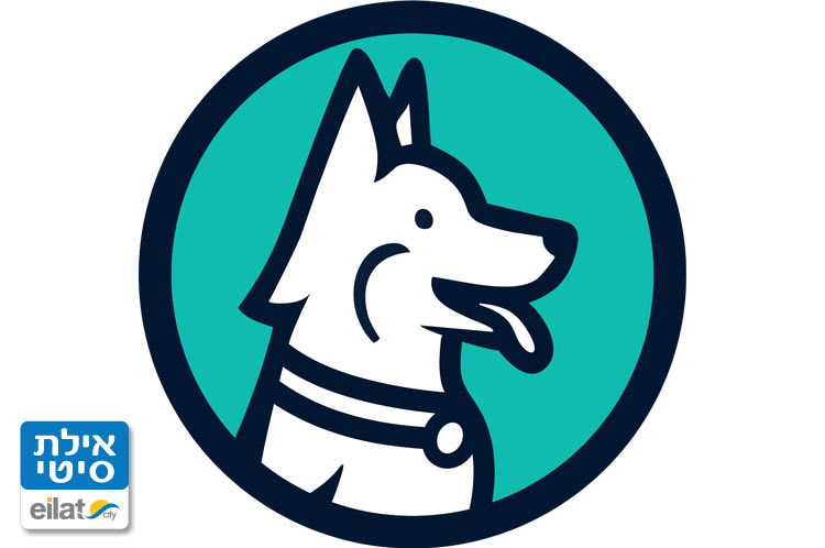 דוג טוק - -אביב שלום