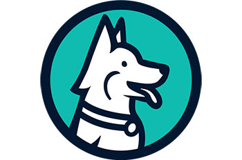 דוג טוק - -אביב שלום