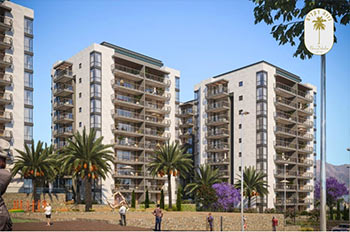 פרוייקטים בלב העיר