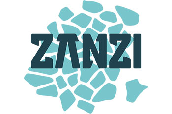 זנזי