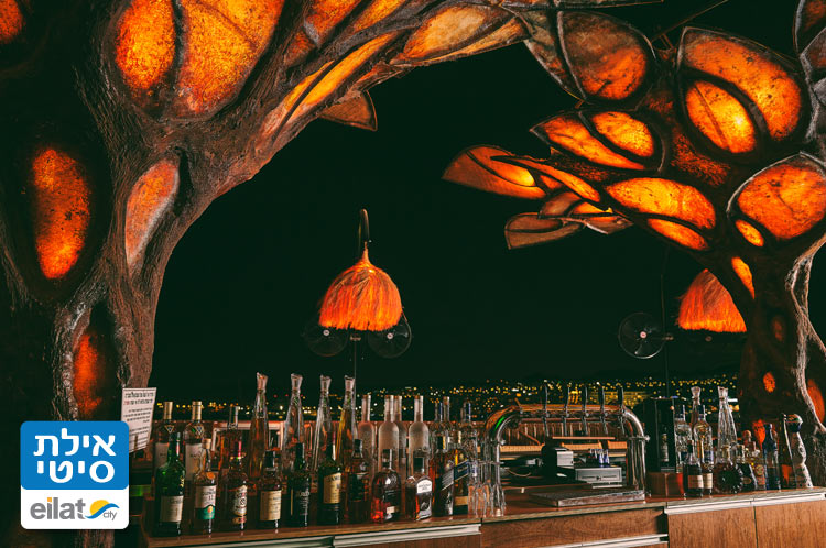 רופטופ מהפנט על קו המים של העיר