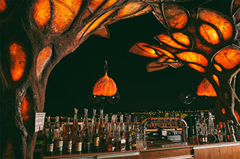 רופטופ מהפנט על קו המים של העיר