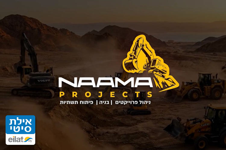 ניהול פרוייקטים