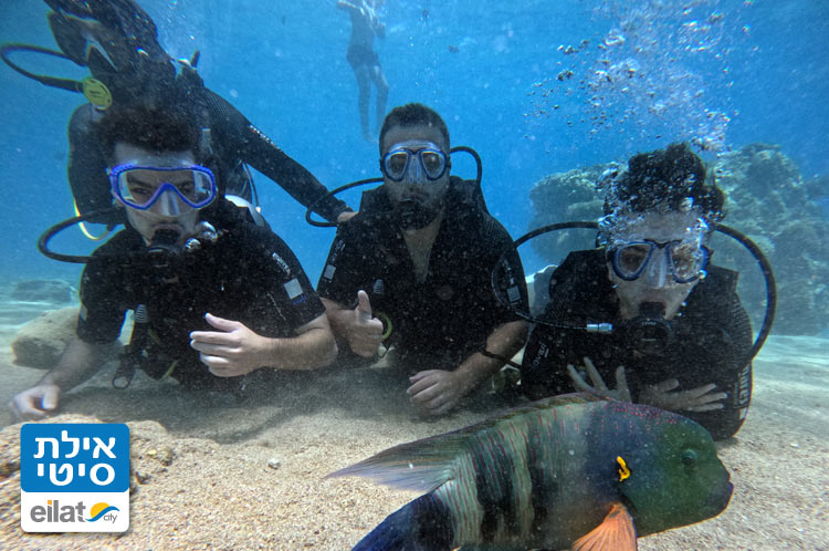 בואו לגלות את קסם הצלילה עם האפי דיוורס