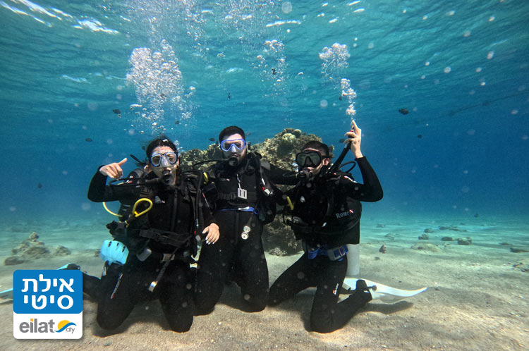 האפי דיוורס - מועדון מקצועי לצלילה ספורטיבית