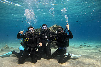 האפי דיוורס - מועדון מקצועי לצלילה ספורטיבית