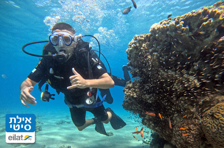 חוויה מתחת לפני המים