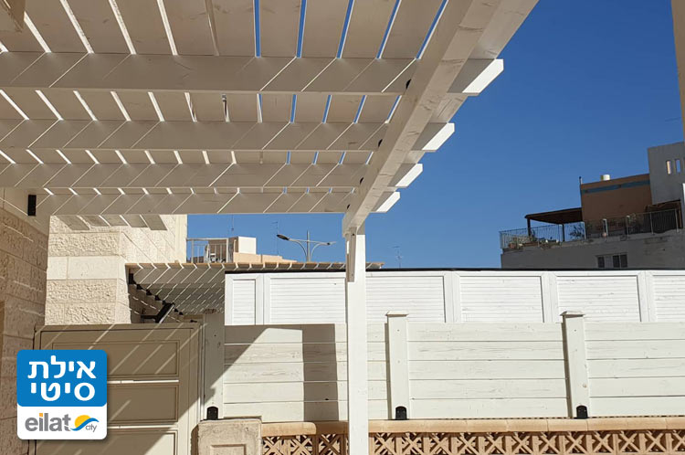 מעצבים חלומות בעץ