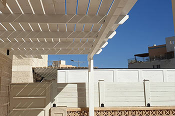 מעצבים חלומות בעץ