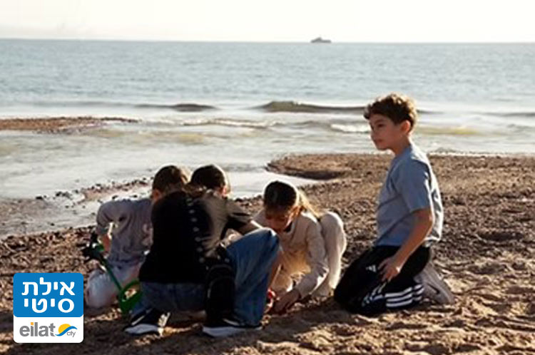 אטרקציה מגבשת לכל הגילאים