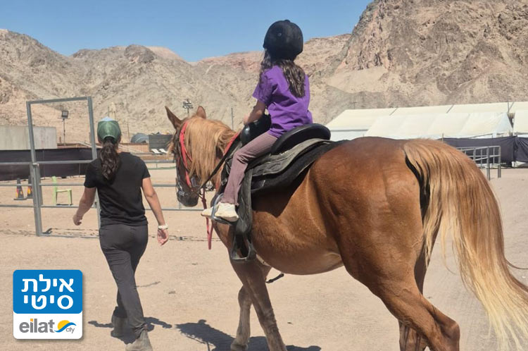 בית ספר לרכיבה מערבית וטיפולית