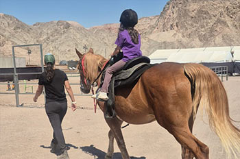 בית ספר לרכיבה מערבית וטיפולית